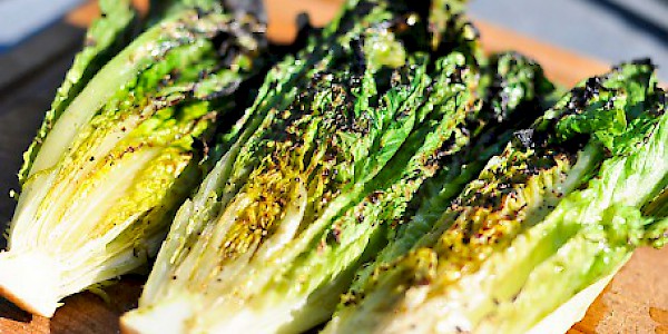 Grilled Pacific Hearts of Romaine with Garlic Salad Dressing