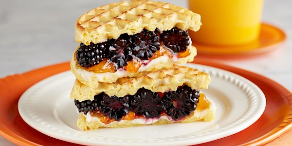 Savory Blueberry & Brie Grilled Cheese