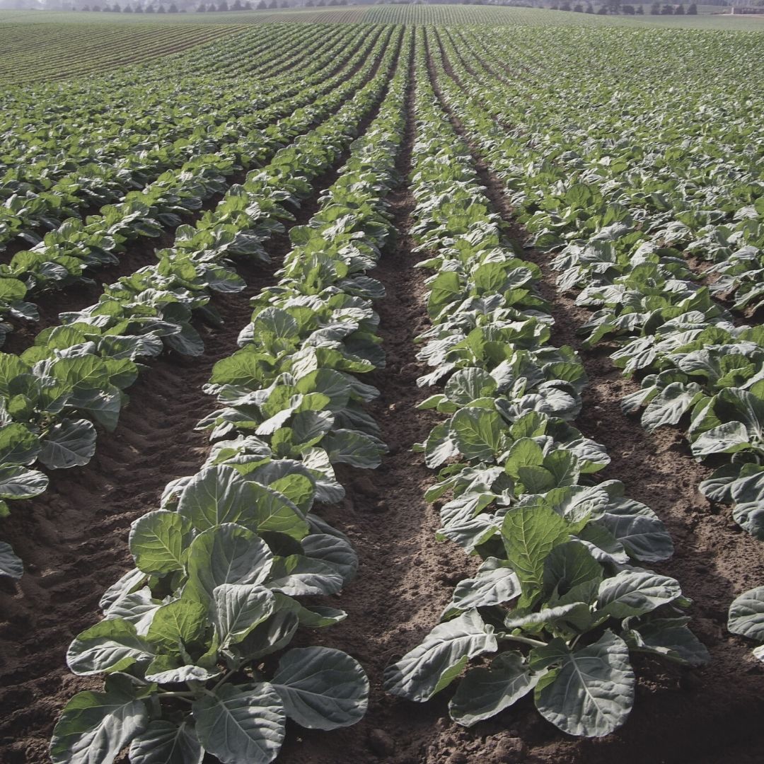 Deadline Fast Approaching for Conservation Reserve Program General Signup UnitedAg